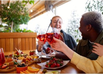 Sip, Savor, and Explore: Unveiling the Delights of Wine Tours in Hobart, Tasmania