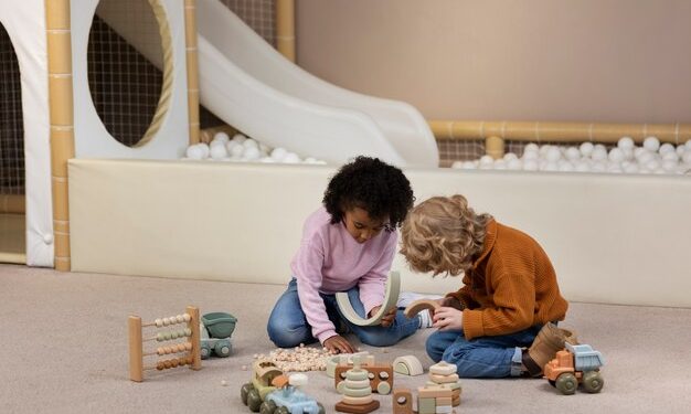 Pikler Triangle vs. Climbing Frame: Which Is the Best Choice for Your Child’s Development?